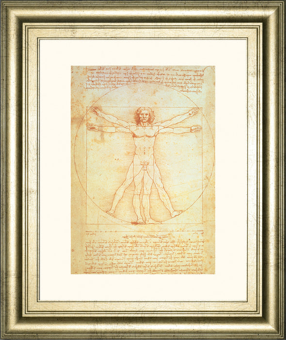 Vituvian Man By Leonardo Da Vinci - Framed Print Wall Art - Gold