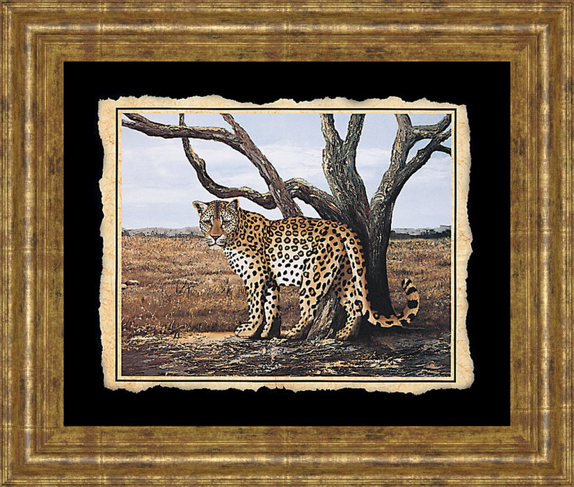 Cheetah - Framed Print Wall Art - Beige