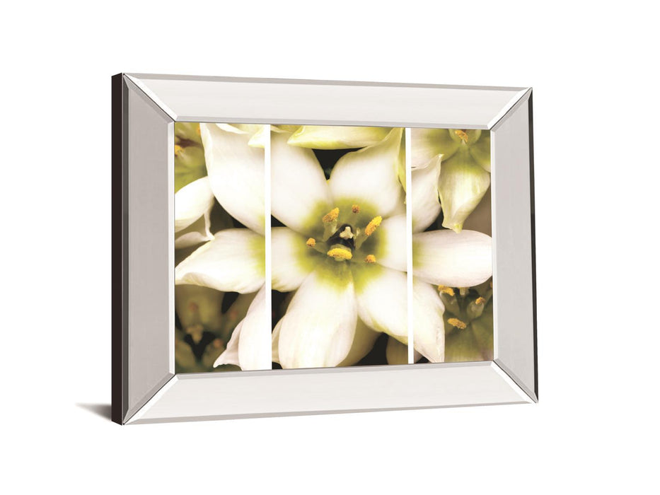 Star Of Bethlehem Triptych By Levine A. Mirrored Frame - White