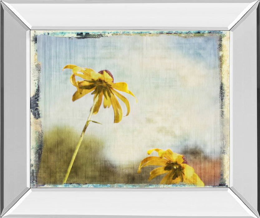 Blackeyed Susan Il By Meghan Mcsweeney - Mirror Framed Print Wall Art - Yellow