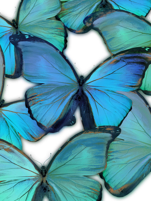 Gallery Wrapped Giclee On Canvas Oh These Butterflies - Blue