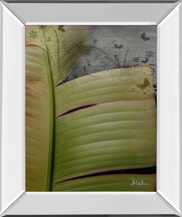 Butterfly Palm Il By Patricia Pinto - Mirror Framed Print Wall Art - Green