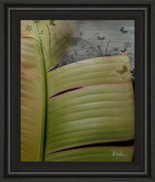 Butterfly Palm Il By Patricia Pinto - Framed Print Wall Art - Green