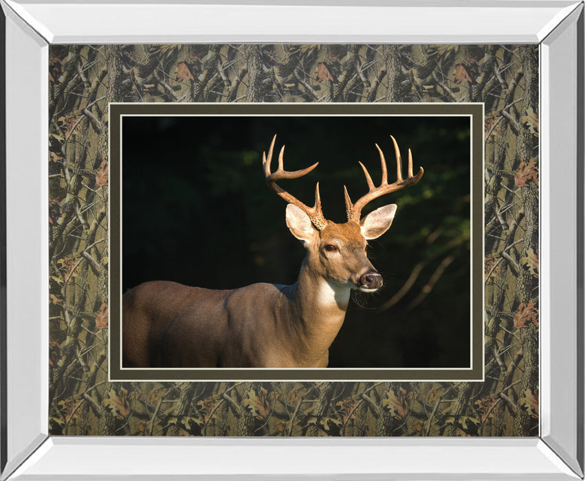 White Tail Buck By Tony Campbell Double Matted - Mirror Framed Print Wall Art - Black