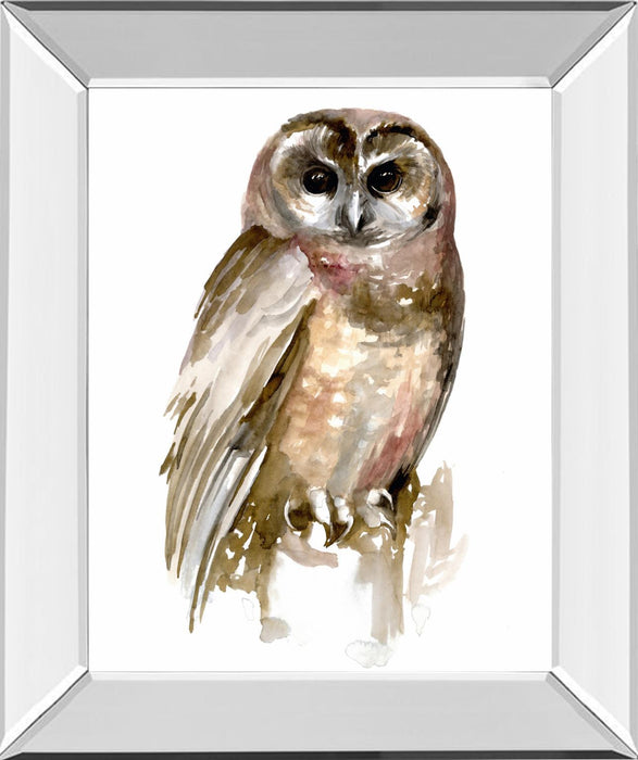 Watercolor Owl II By Jennifer Paxton Parker - Dark Gray