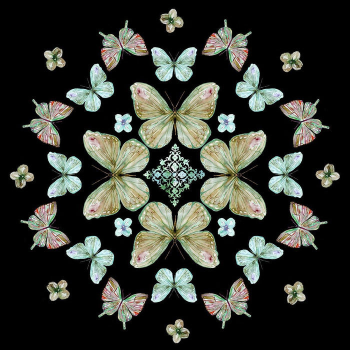 Butterfly Kaleidoscope By Carol Robinson - Black