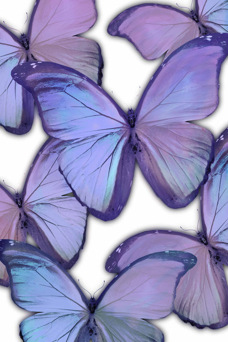Gallery Wrapped Giclee On Canvas Oh These Magic Butterflies - Purple