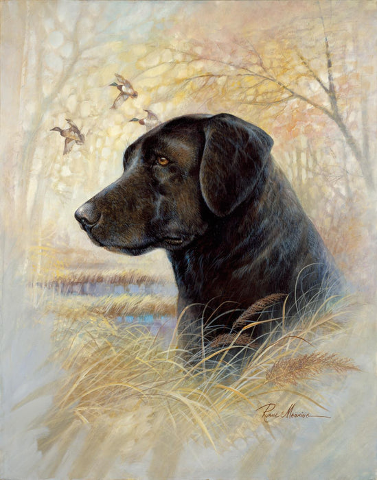 Devoted Friend By Ruane Manning - Light Brown