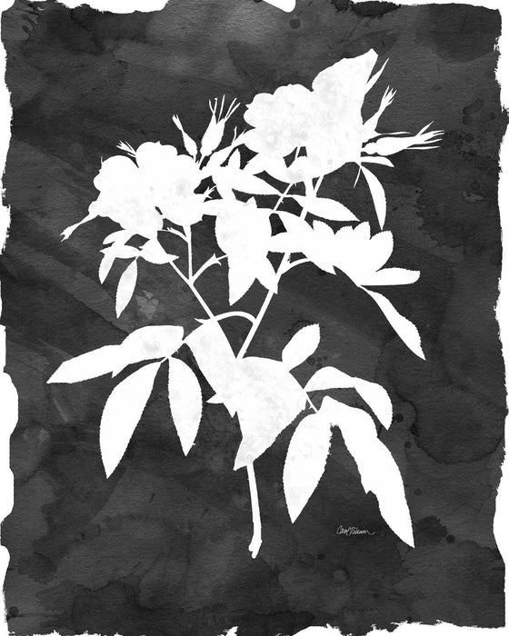 Framed - Black Botanical I By Carol Robinson - Dark Gray