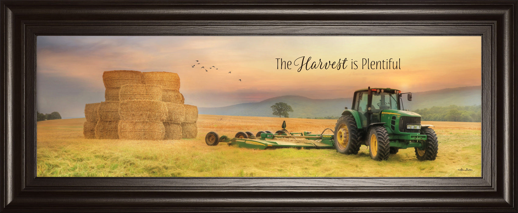 The Harvest Is Plentiful By Lori Deiter - Framed Print Wall Art - Gold