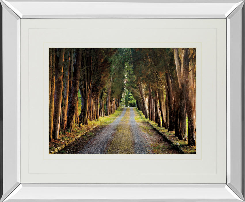 Tree Tunnel By Michael Tunnel And Mossy Oak Native Living - Mirror Framed Print Wall Art - Green