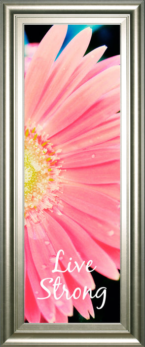 Live Strong Daisy By Susan Bryant - Framed Print Wall Art - Pink
