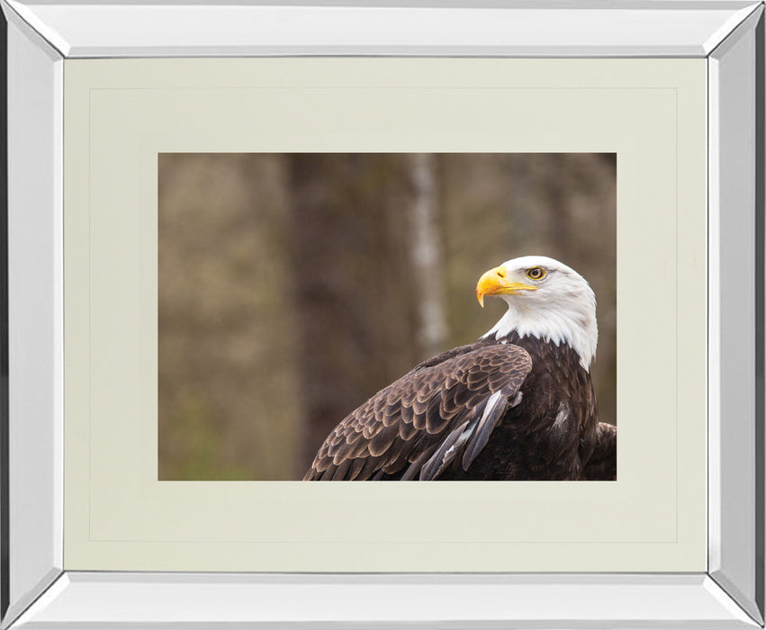 Majestic Eagle By Garytog Double Matted - Mirror Framed Wall Art - Red