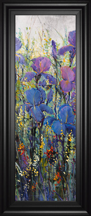 Iris Field Il By Tim Otoole - Framed Print Wall Art - Purple
