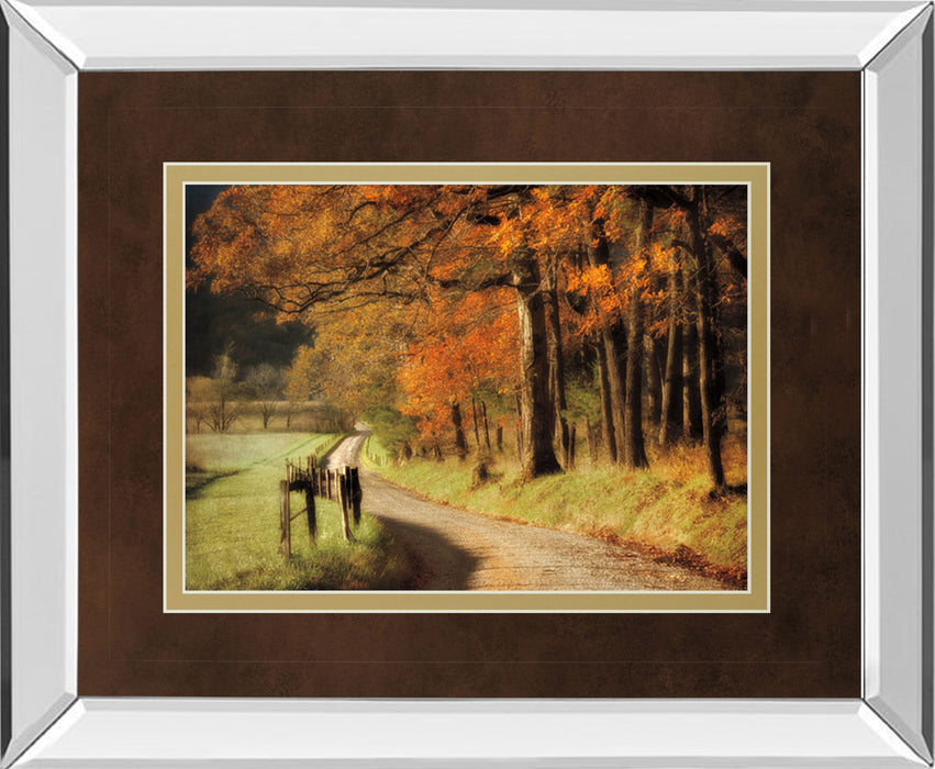 Autumns Morning Light By D. Burt - Mirror Framed Print Wall Art - Orange