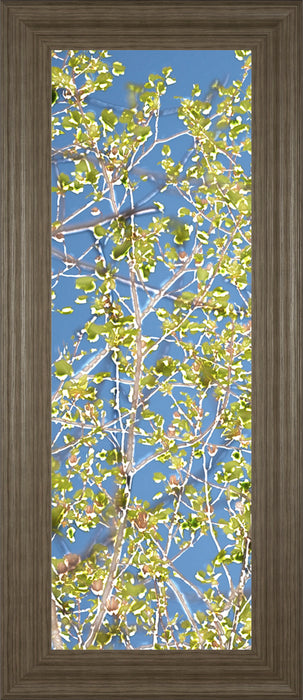 Spring Poplars I By Sharon Chandler - Framed Print Wall Art - Green