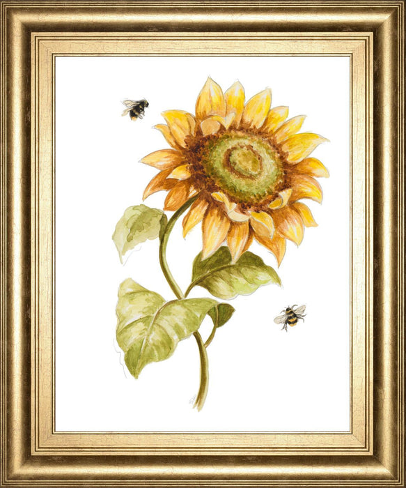 22x26 Harvest Gold Sunflower II By PatriciaPinto - Yellow