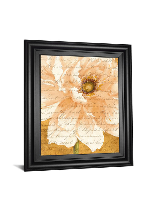 Beautiful Cream Peonies Script Il By Patricia Pinto - Framed Print Wall Art - Gold
