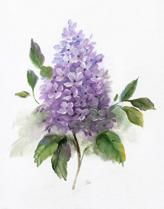 Framed - Lilac Romance I By Nan - Purple