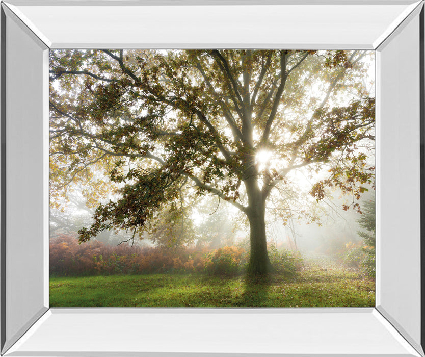 Morning Calm By Lee Frost - Mirror Framed Print Wall Art - Green